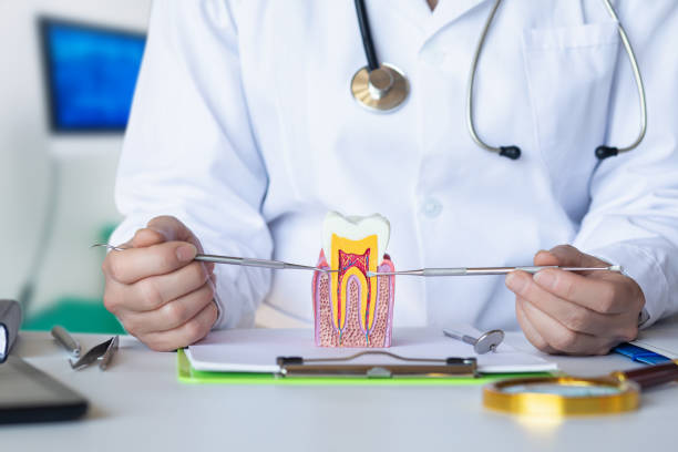 Best Emergency Dentist for Lost Fillings or Crowns in Waynesville, NC